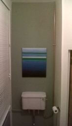 Photo of toilet with new rainwater connection
